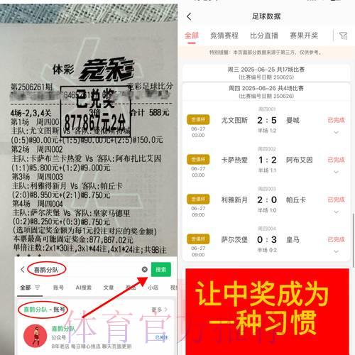 世界杯竞猜平台的风险警示与安全防护指南 世界杯竞猜平台的风险警示与安全防护指南